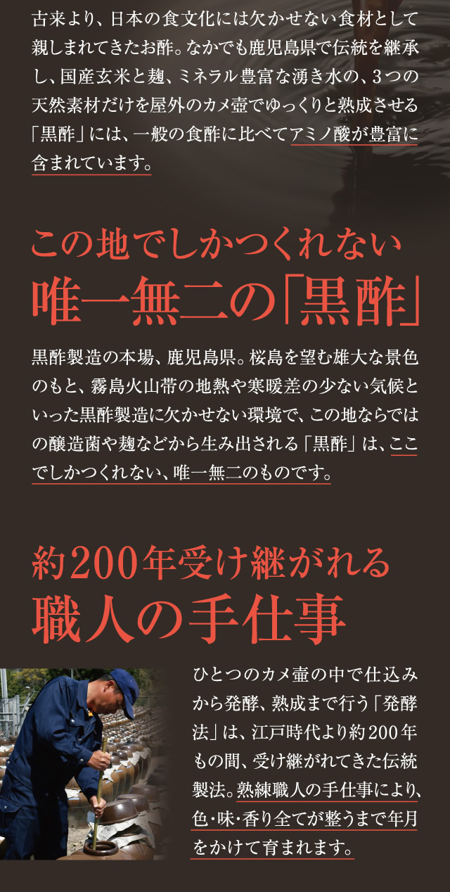 伝統が育んだアミノ酸豊富な健康食。
この地でしかつくれない唯一無二の「黒酢」。約200年受け継がれる職人の手仕事