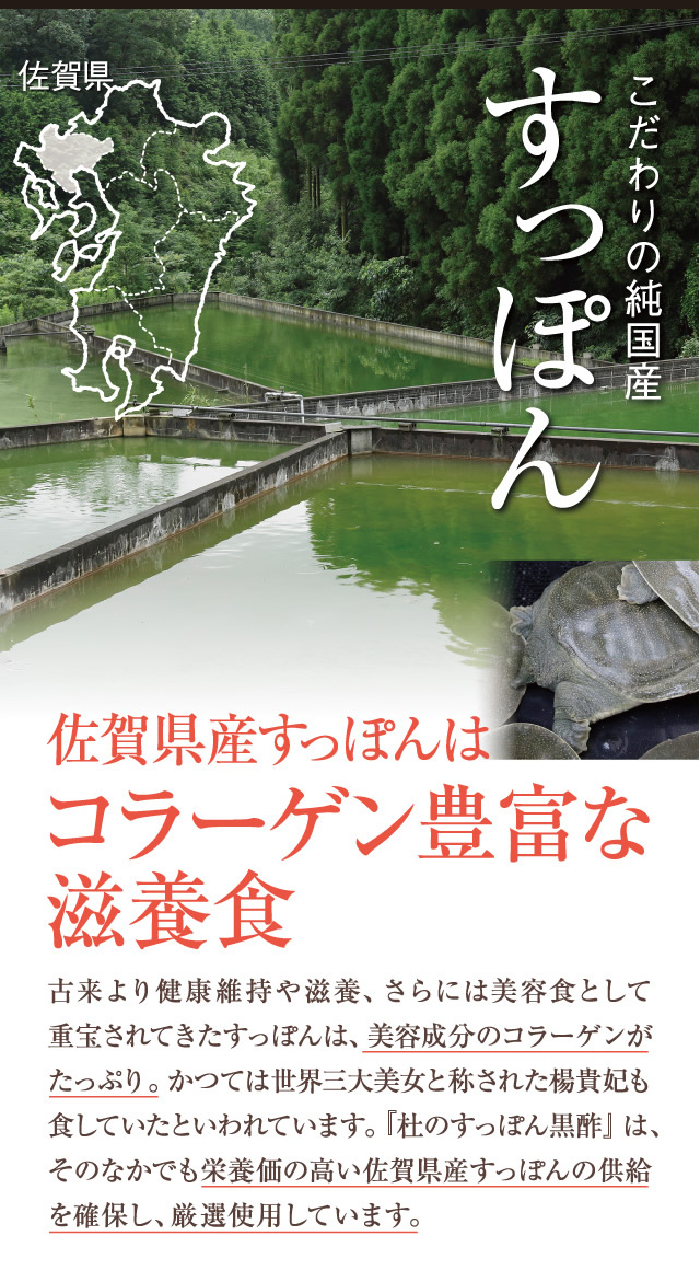 こだわりの純国産すっぽん。純国産すっぽんはコラーゲン豊富な滋養食