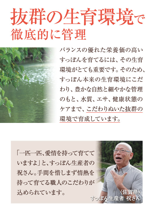 抜群の生育環境で徹底的に管理。