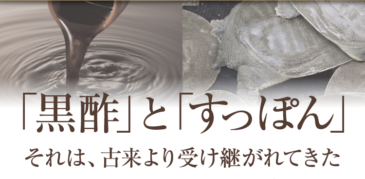 「黒酢」と「すっぽん」それは、古来より受け継がれてきた