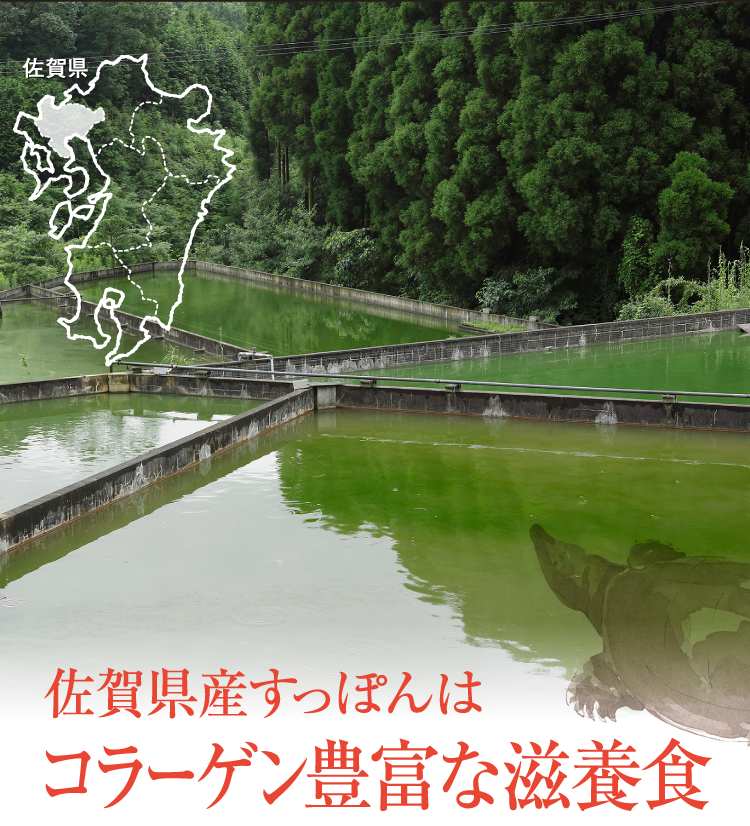 伝統と職人の技が光る熟成黒酢。