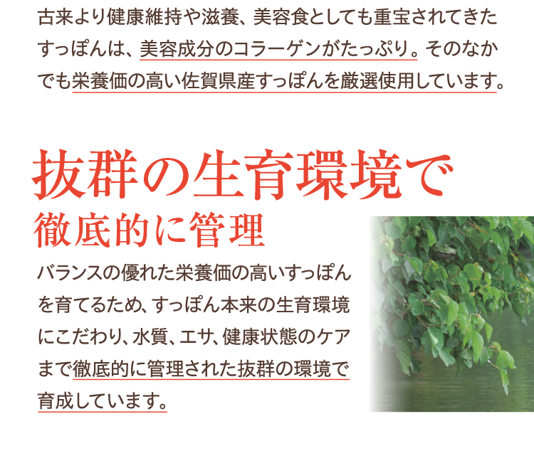 抜群の生育環境で徹底的に管理。