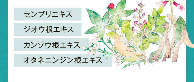 センブリエキス,ジオウ根エキス,カンゾウ根エキス,オタネニンジン根エキス