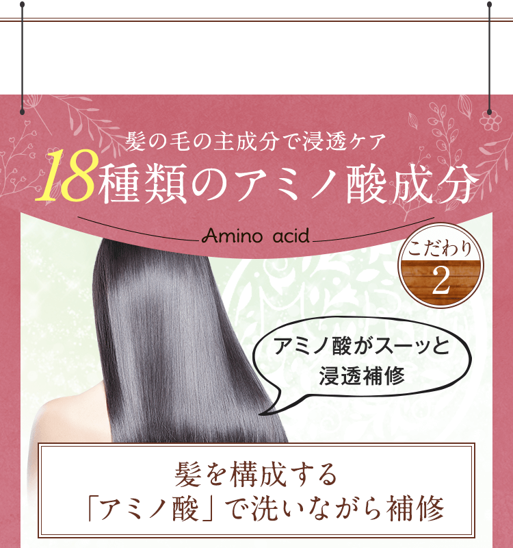 18種類のアミノ酸成分