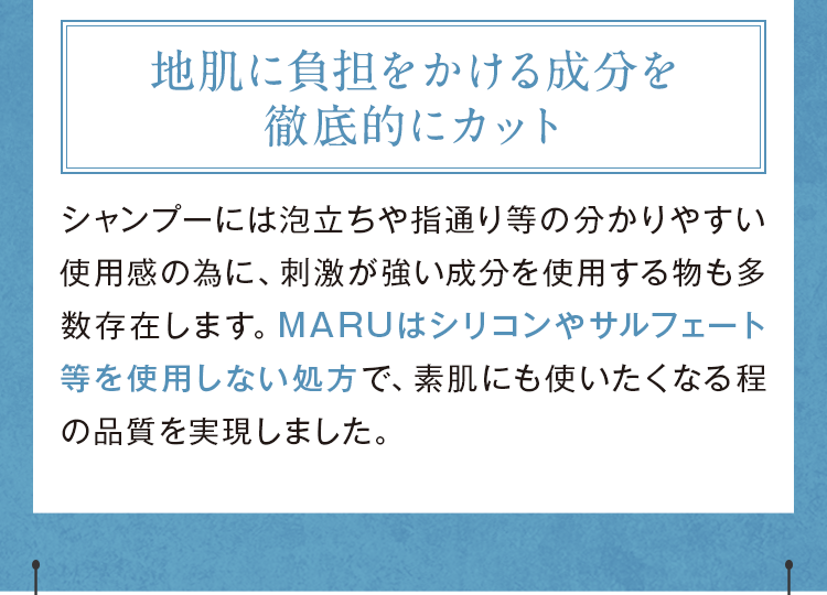地肌に負担をかける成分を徹底的にカット