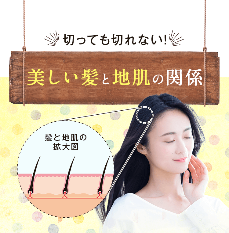 美しい髪と地肌の関係