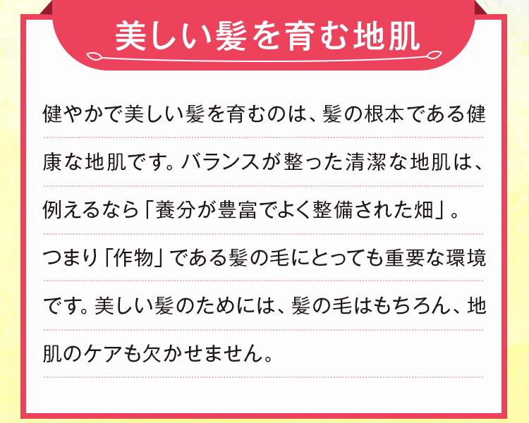 美しい髪を育む地肌