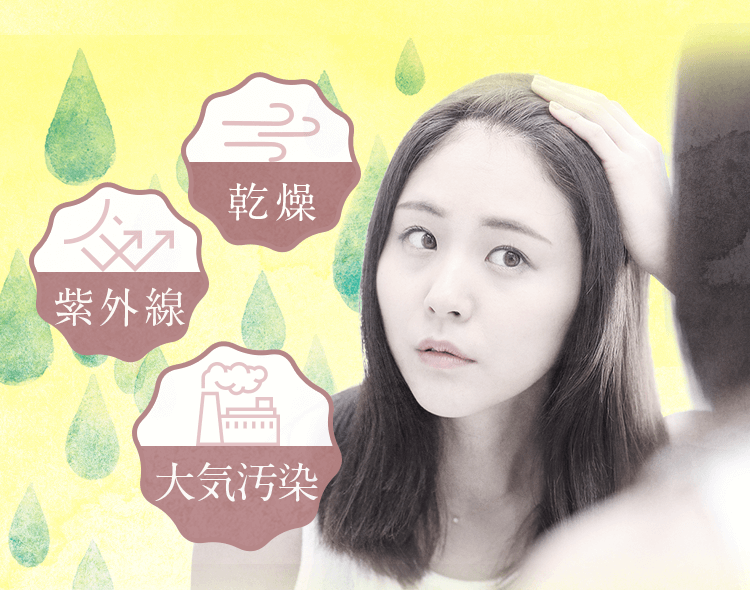 大気汚染、紫外線、乾燥