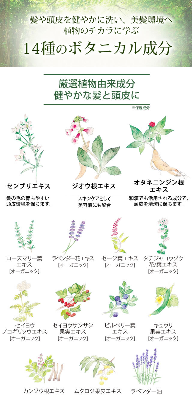 髪や頭皮を健やかに洗い、美髪環境へ 植物のチカラに学ぶ14種のボタニカル成分