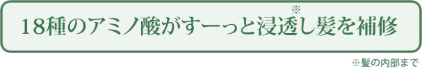 18種のアミノ酸がすーっと髪の内部まで浸透し髪を補修