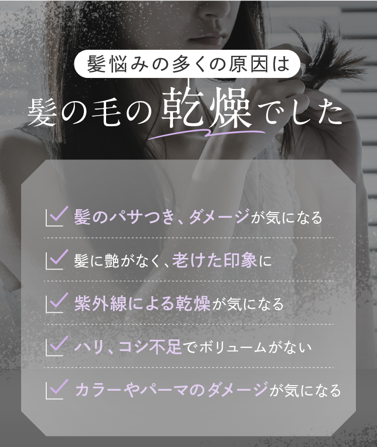 髪悩みの多くの原因は髪の毛の乾燥でした